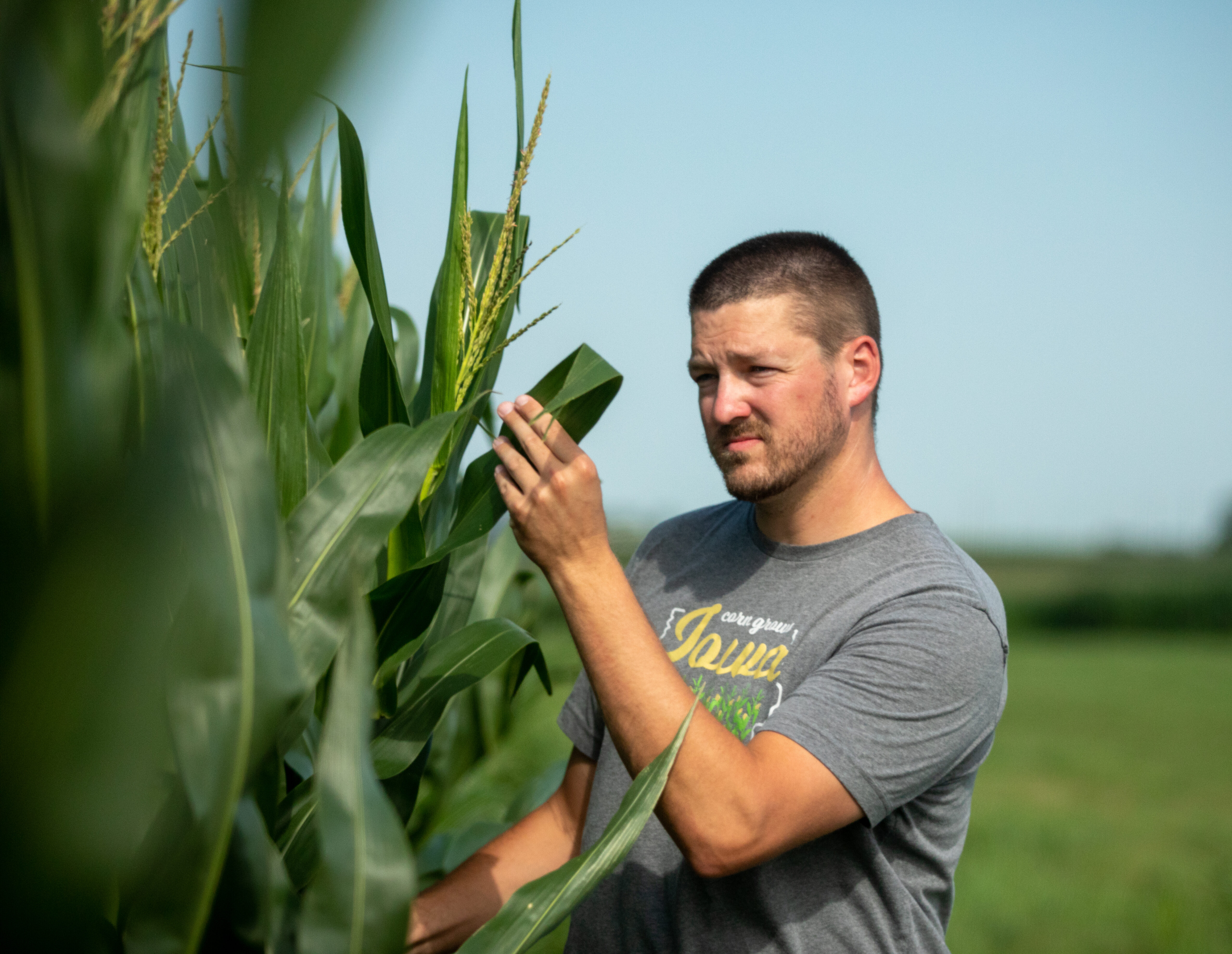 Iowa Corn farmer in field