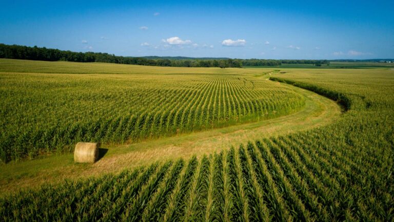 Iowa Corn Farmers Celebrate Iowa Ag Week 