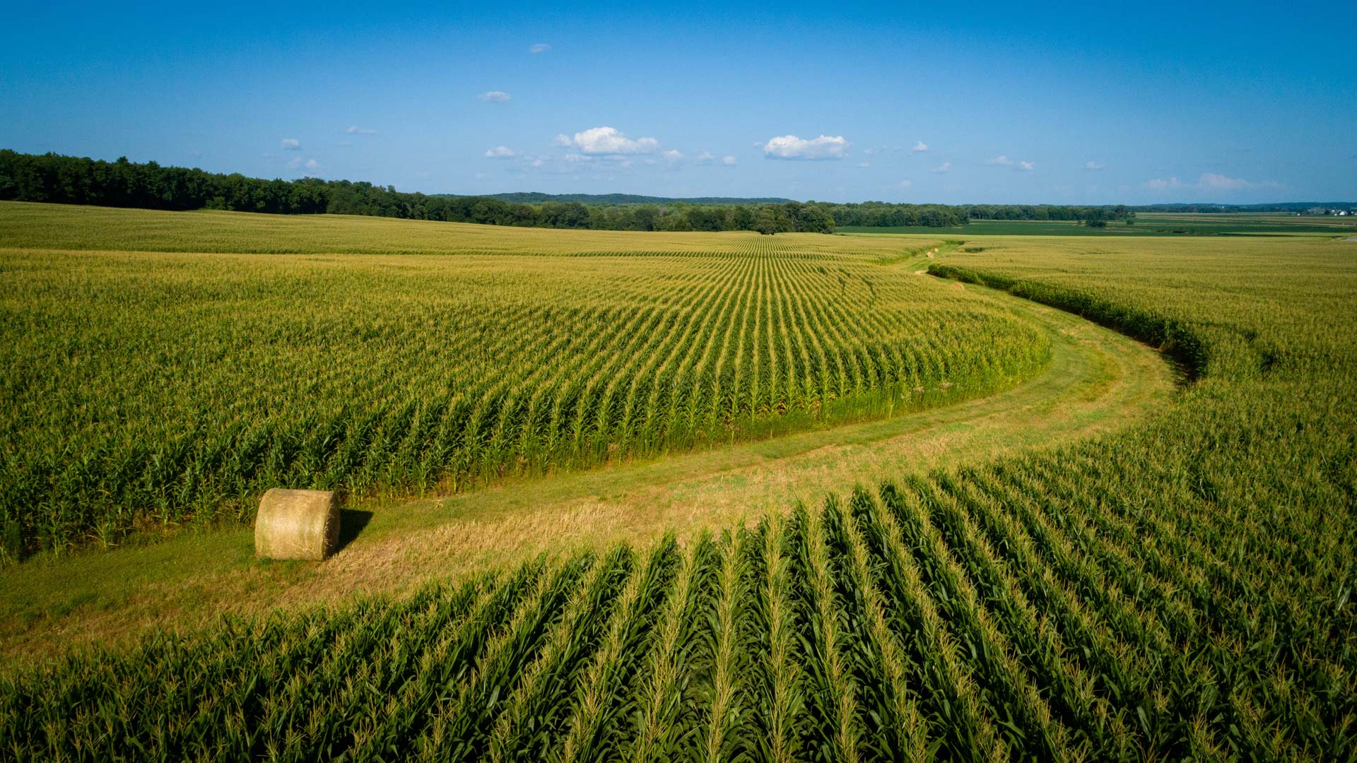 Iowa Corn Farmer-Leaders Attend Commodity Classic