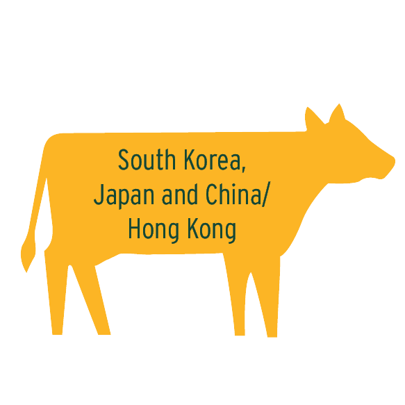 South Korea, Japan and China/Hong Kong