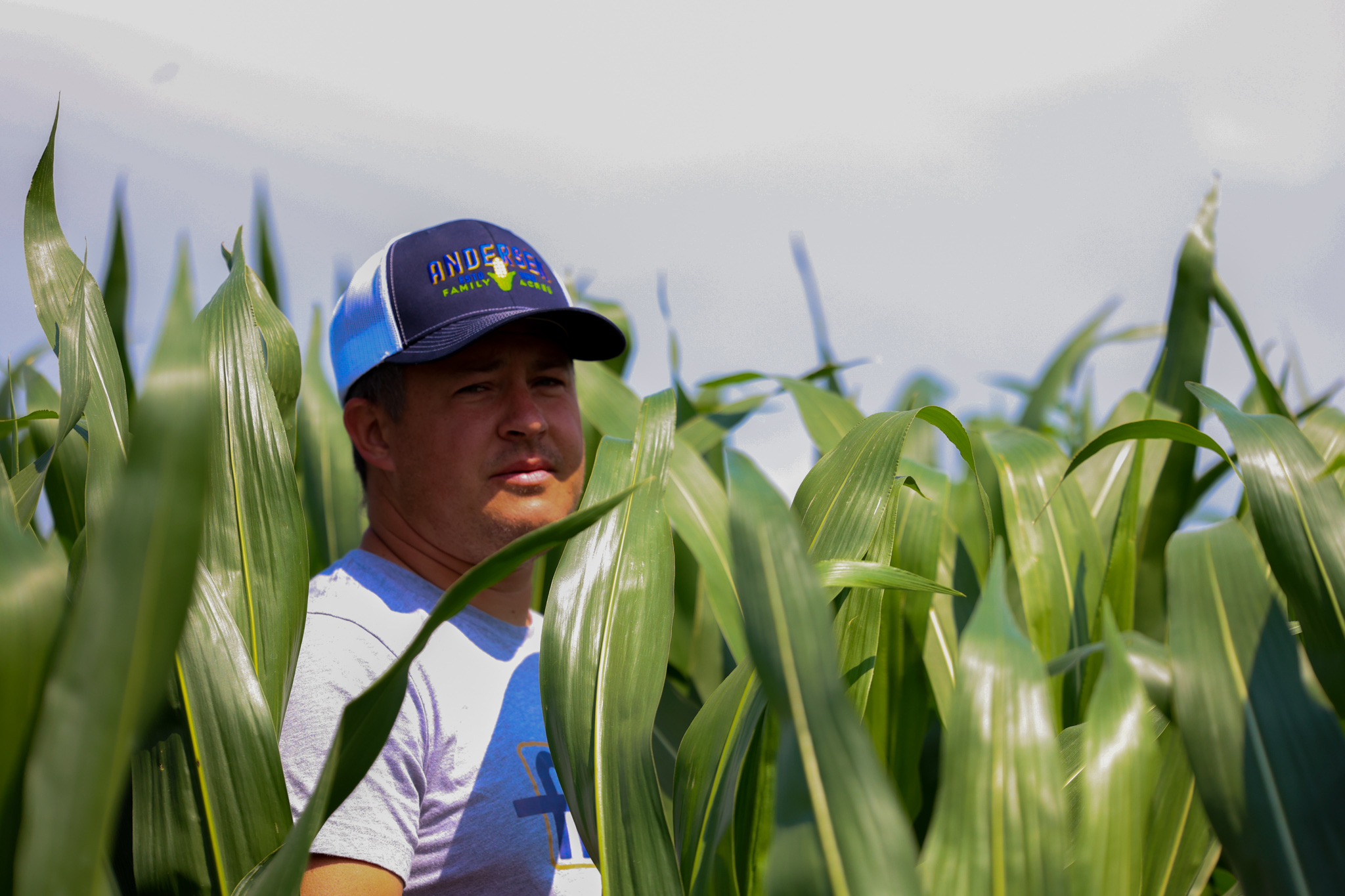 Iowa Corn Faces of Farming