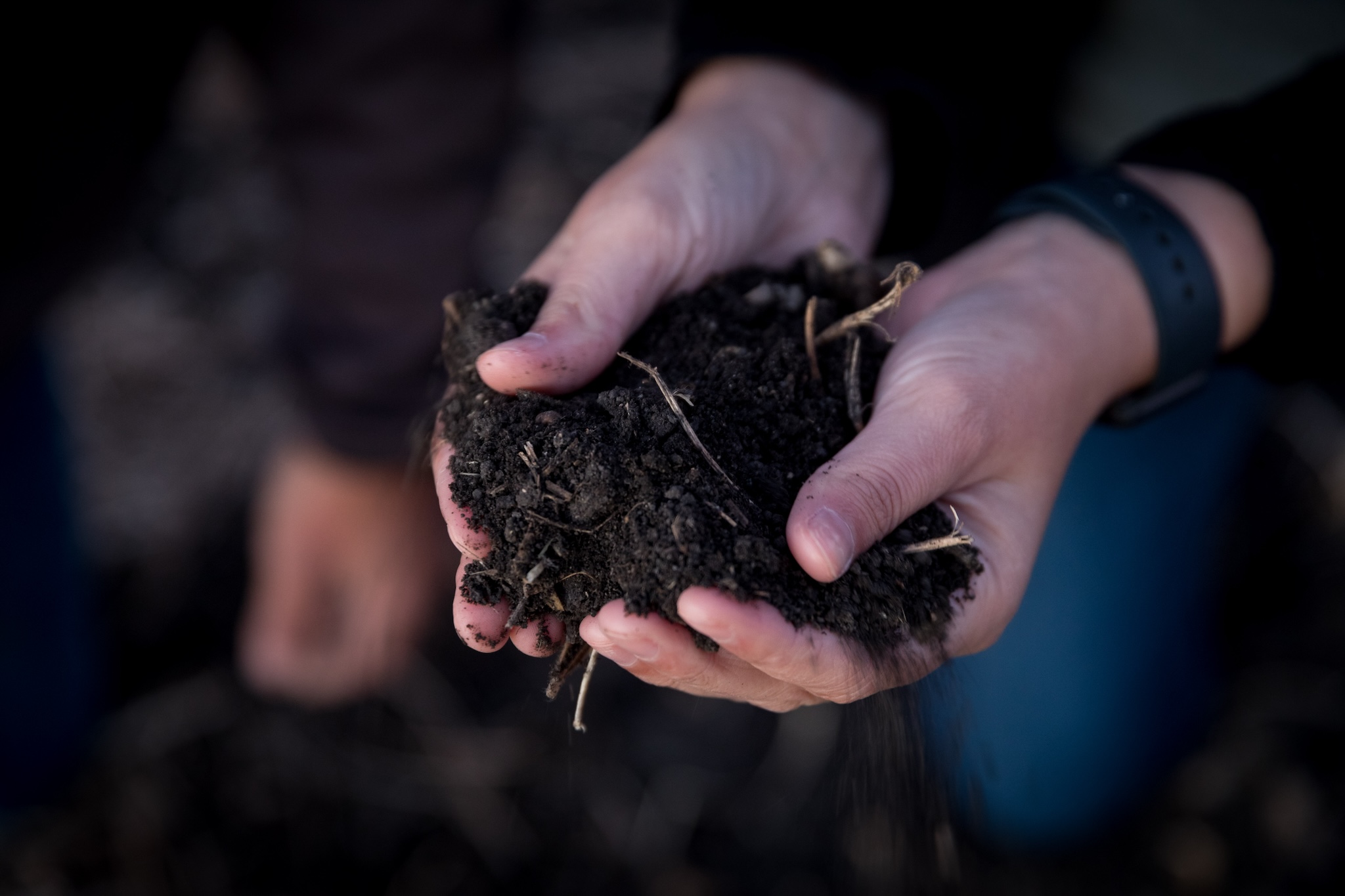 Hands scooping soil