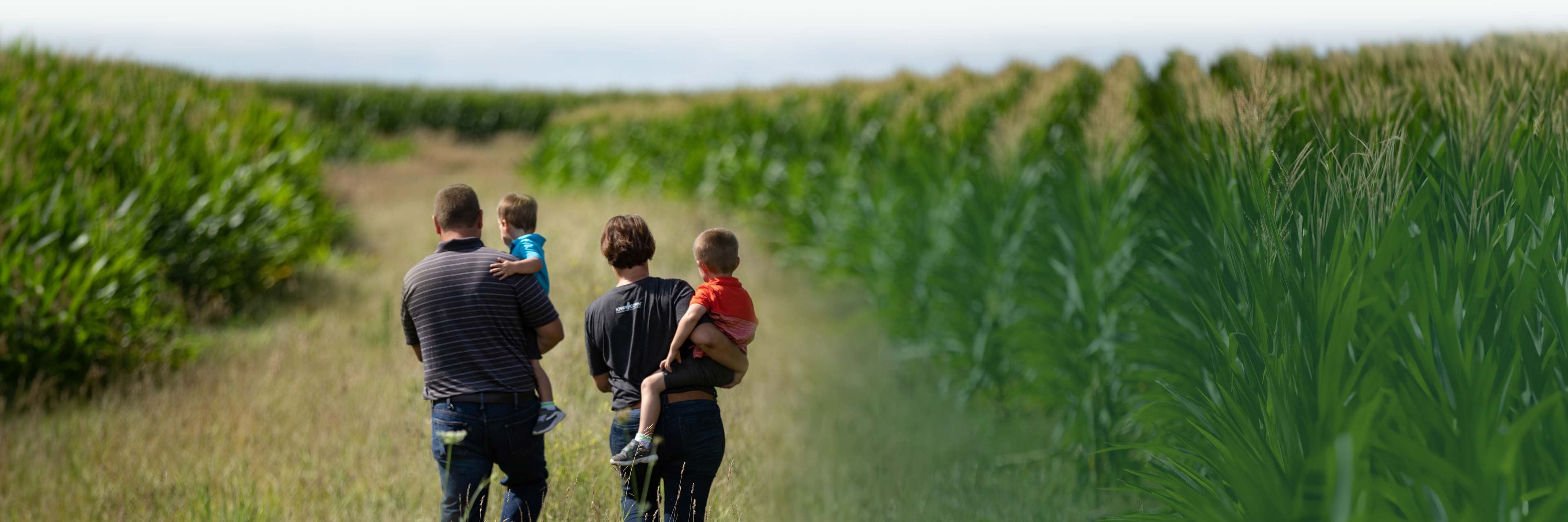 Photo of family walking near corn field
