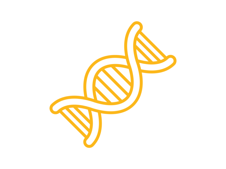 Illustration of a DNA double helix