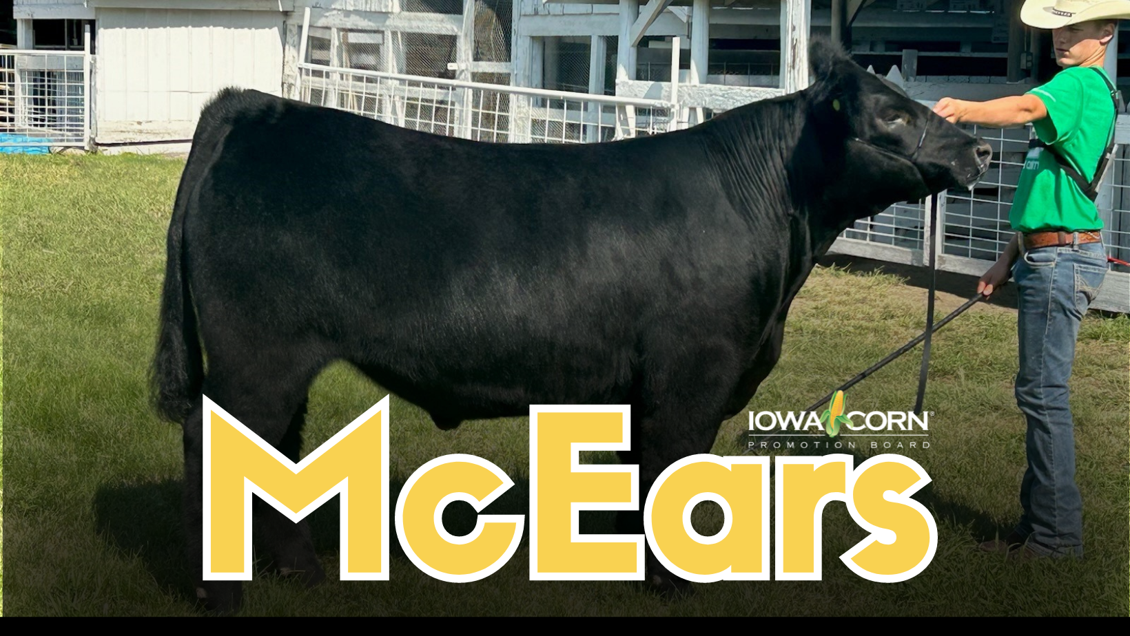 McEars Makes His Way to Des Moines for the Governor’s Charity Steer Show